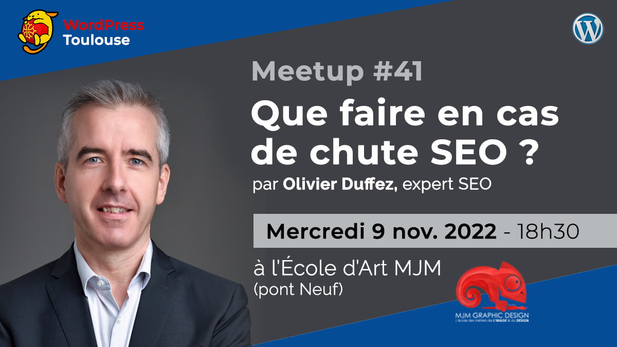 Que faire en cas de chute SEO – MeetUp WordPress Toulouse : 11/2022